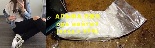 PSILOCYBIN Елизово