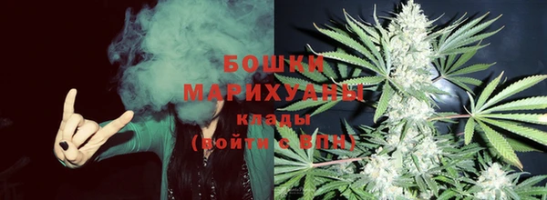 PSILOCYBIN Елизово