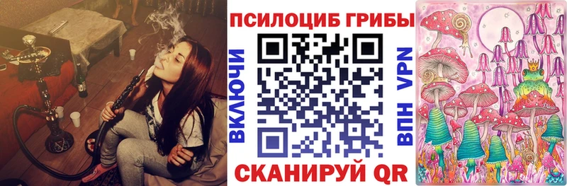 наркотики Междуреченск Галлюциногенные грибы Cubensis